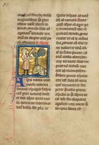 Un Homme et un Serpent - Unbekannt Unbekannt